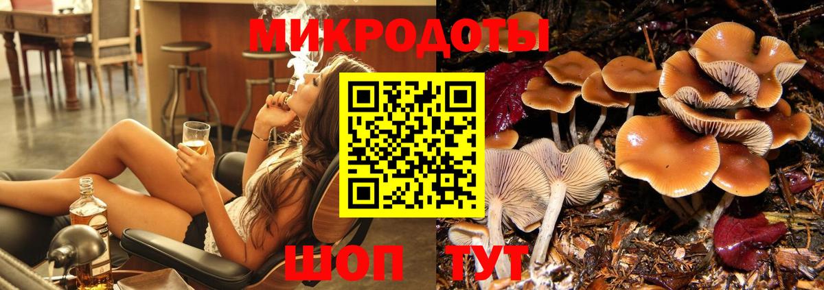 Конаково  Псилоцибиновые грибы Psilocybine cubensis  Вход с VPN 